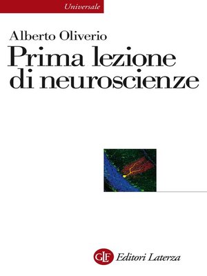 cover image of Prima lezione di neuroscienze